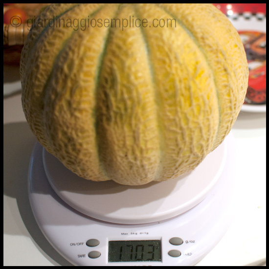 melone 1.7 kg